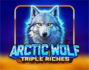 Arctic Wolf Triple Riches